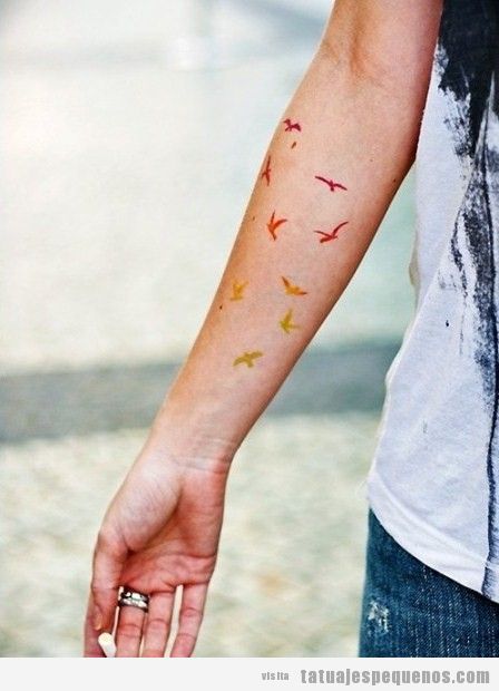 Tatuaje pequeño y bonito para chica, pájaros colores brazo