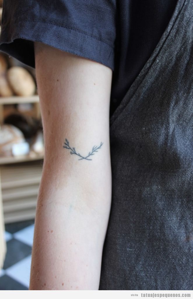 Tatuaje pequeño y bonito, dos ramas de laurel en el brazo