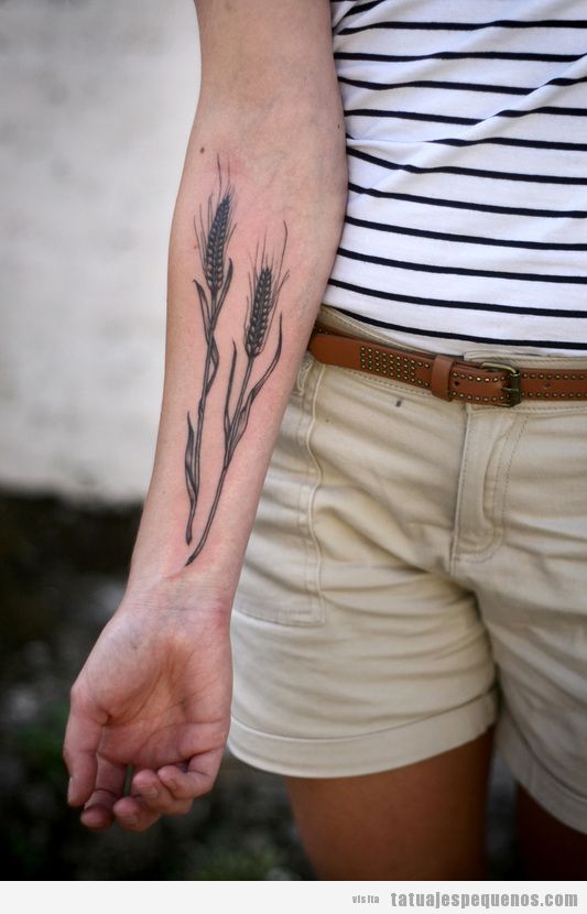 Tatuaje pequeño espigas de trigo en el antebrazo