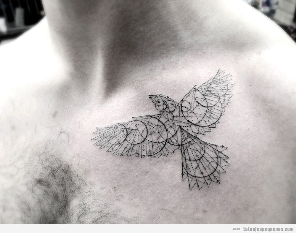 Tatuaje pequeño para hombres en el pecho, pájaro