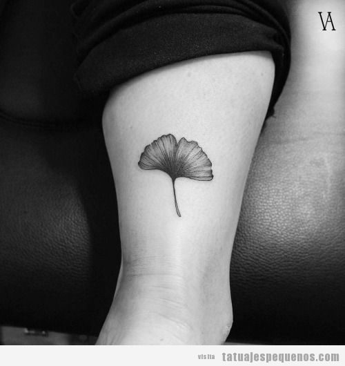 Tatuajes pequeños de hojas de ginkgo