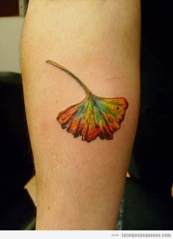 Tatuajes pequeños hojas de gingko en antebrazo 