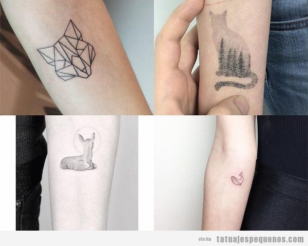Tatuajes pequeños en el antebrazo para mujer flores animales