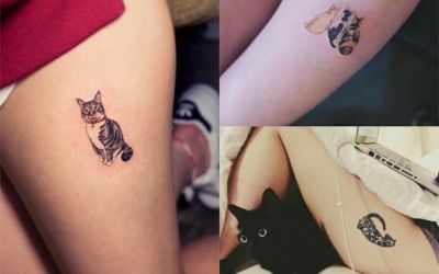 Tatuajes pequeños de gatos: + 30 diseños que plasman el amor por estos felinos