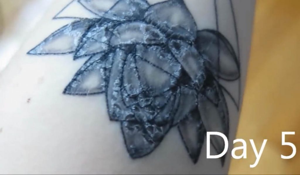 Fases curación tatuaje Día 5
