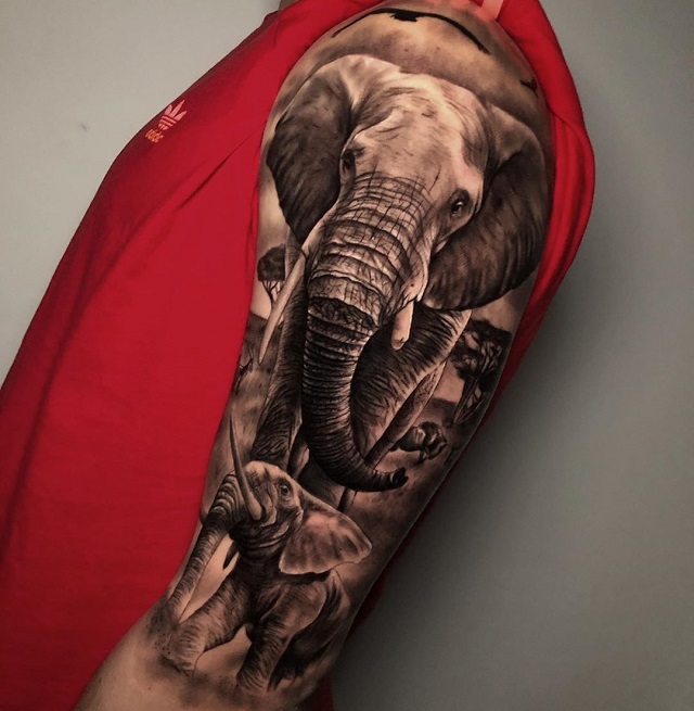 Tatuaje realista elefante